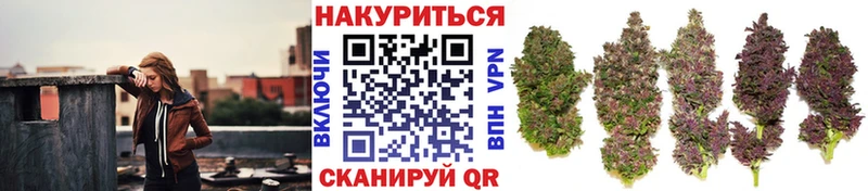 Где можно купить наркотики Балей Метамфетамин A-PVP ГАШ Мефедрон Конопля Псилоцибиновые грибы