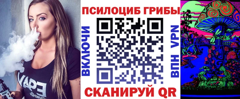 Галлюциногенные грибы Psilocybe  Балей 